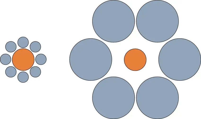 The Ebbinghaus Illusion: Size Depends on Your Surroundings (Image Credits: Wikimedia)