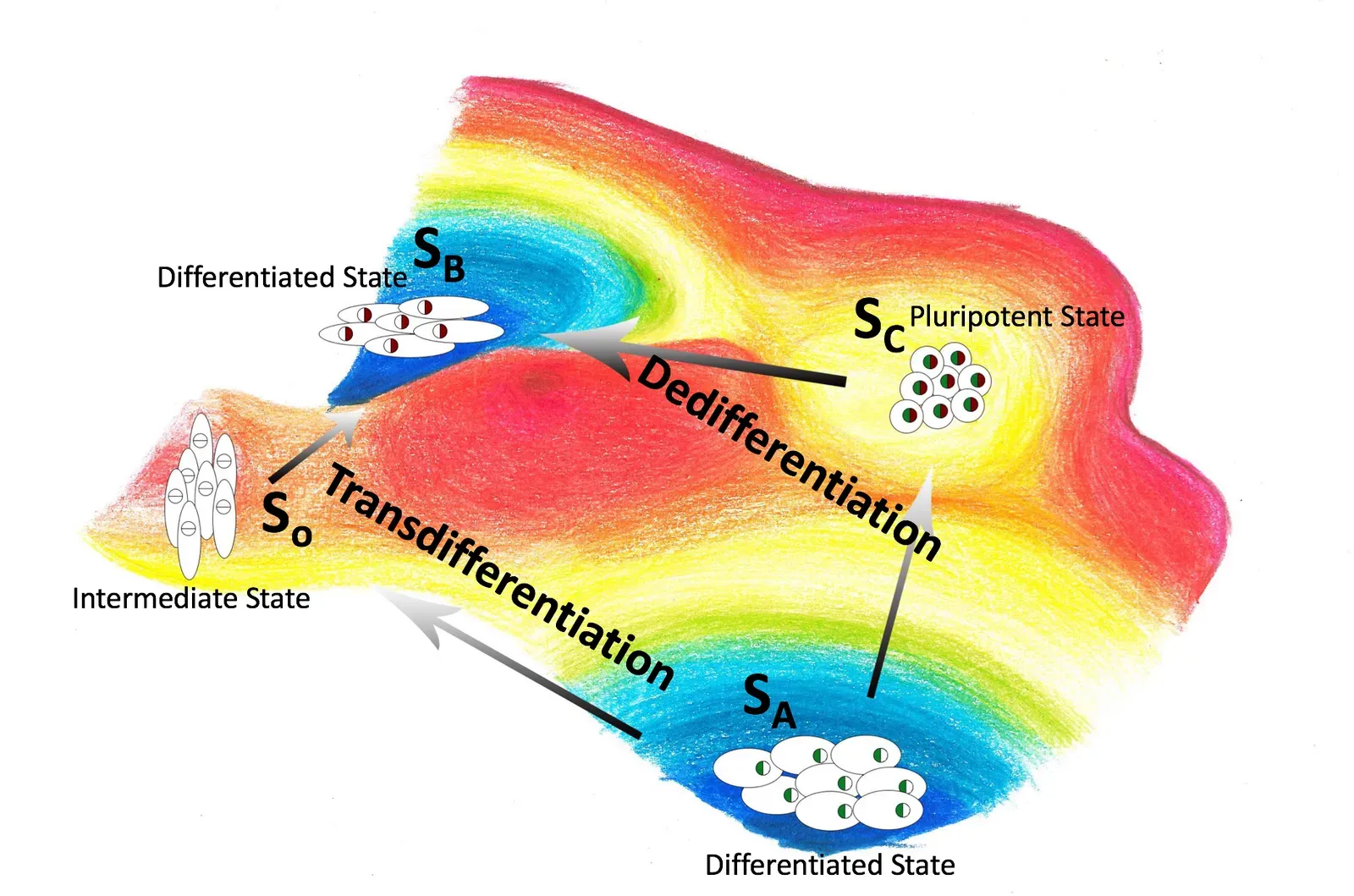 The Hidden Clues: Tiny Repairs You Never Feel (Image Credits: Wikimedia)