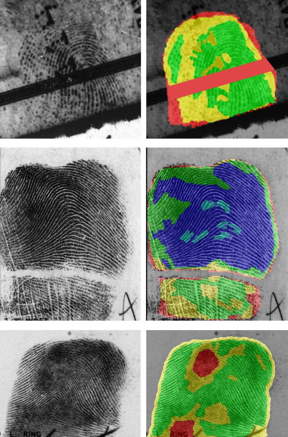 From Ancient Curiosity to Modern Forensic Powerhouse (Image Credits: Wikimedia)