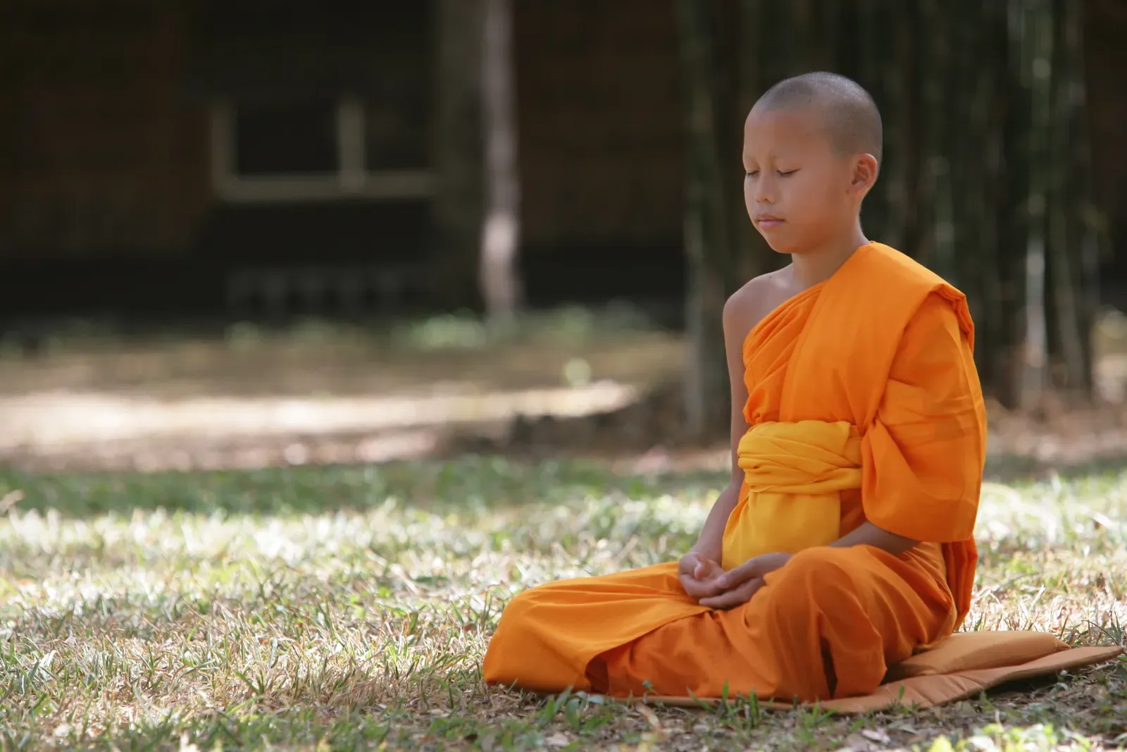 Where Spiritual Language and Scientific Caution Collide (By Kochphon (Honey) Onshawee, CC0)