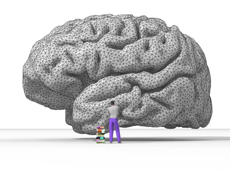 From Brain Science to Algorithms: Teaching Machines to “Feel” Patterns (Image Credits: Wikimedia)