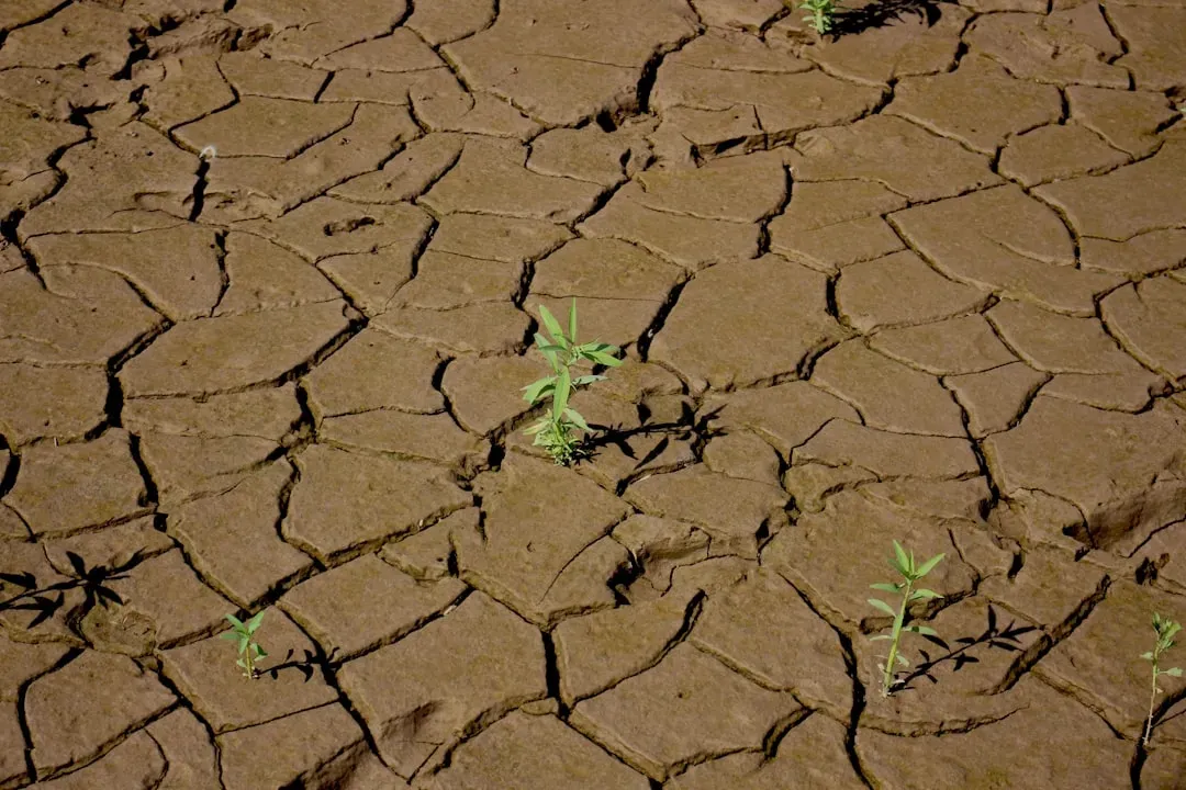 The Future Landscape: Turning Wild Hacks into Real-World Solutions (Image Credits: Unsplash)