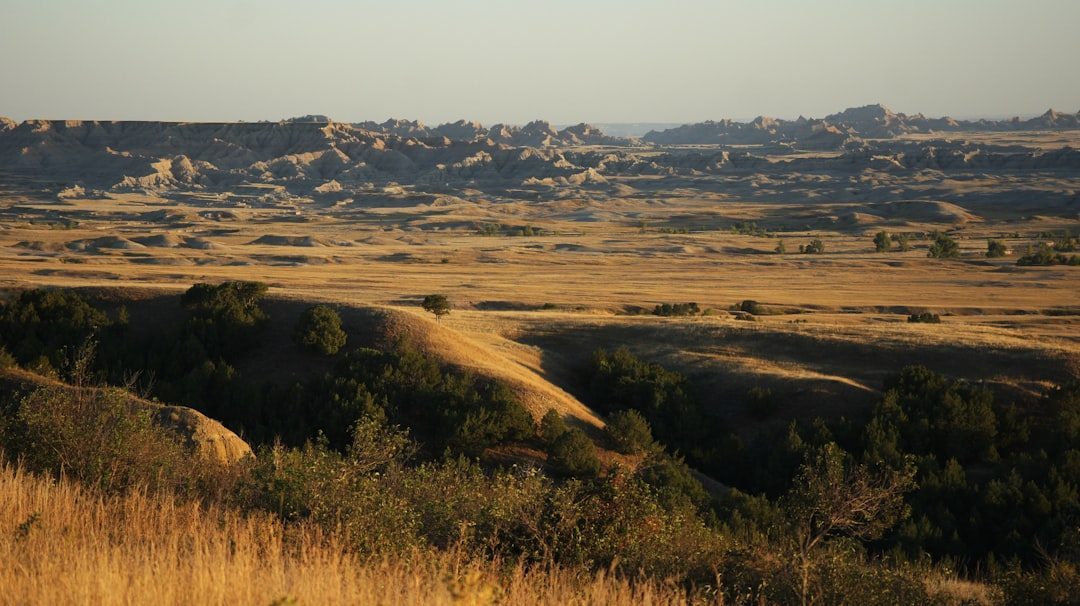 The Lakota and Dakota Nations: Plains Warfare, Sacred Landscapes, and Memory (Image Credits: Unsplash)