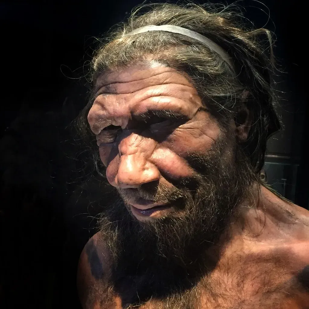 1. Neanderthals: The Close Cousins We Misjudged (Allan Henderson, Flickr, CC BY 2.0)
