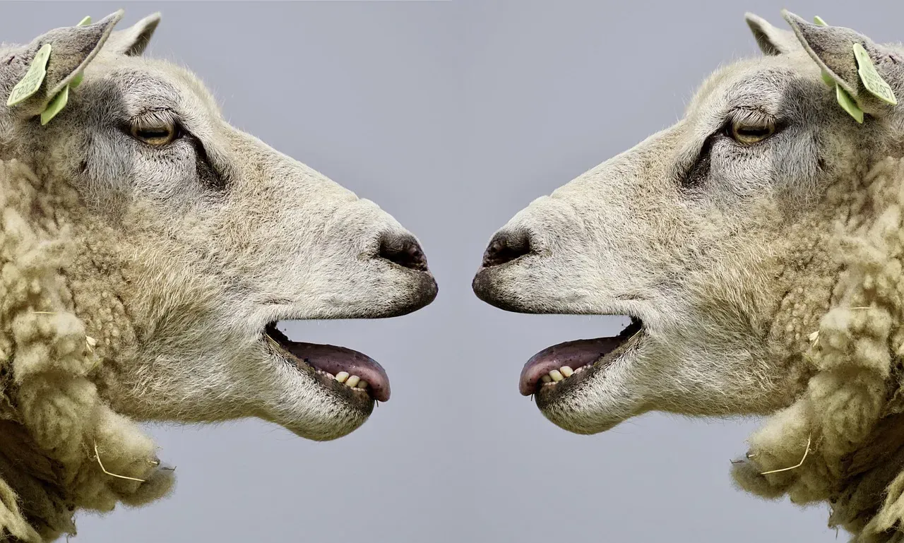 The Surprising Complexity of Animal “Languages” (Image Credits: Pixabay)