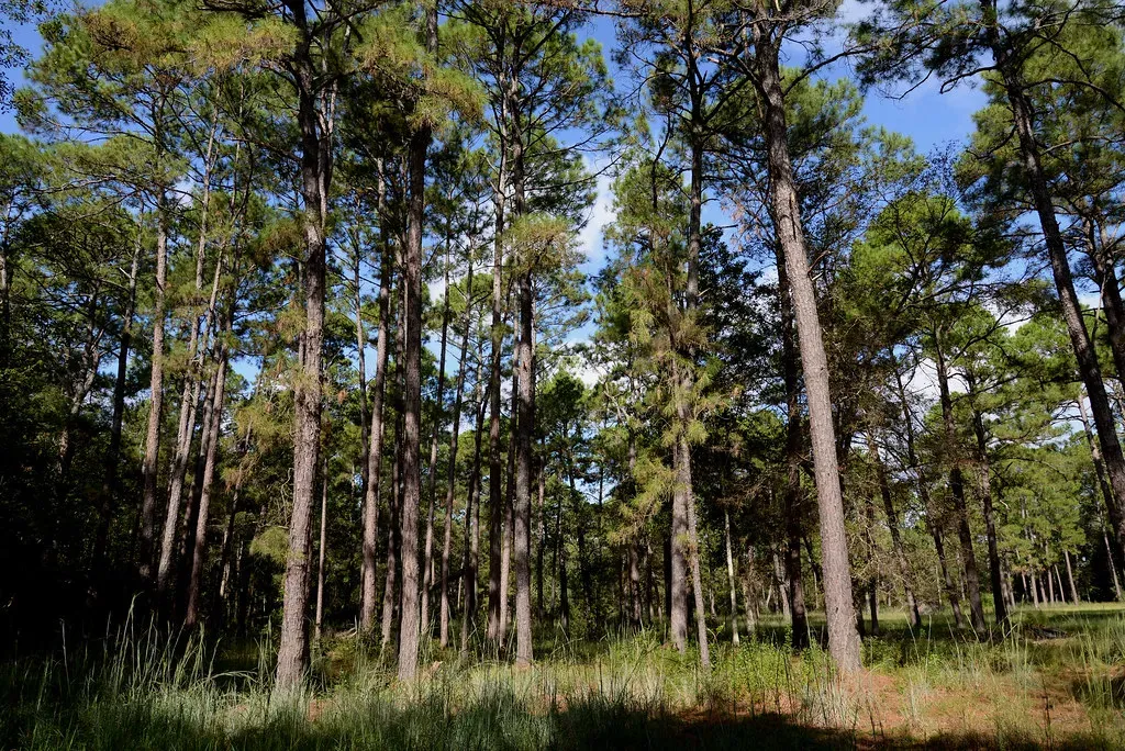 Conclusion (Image Credits: Flickr)