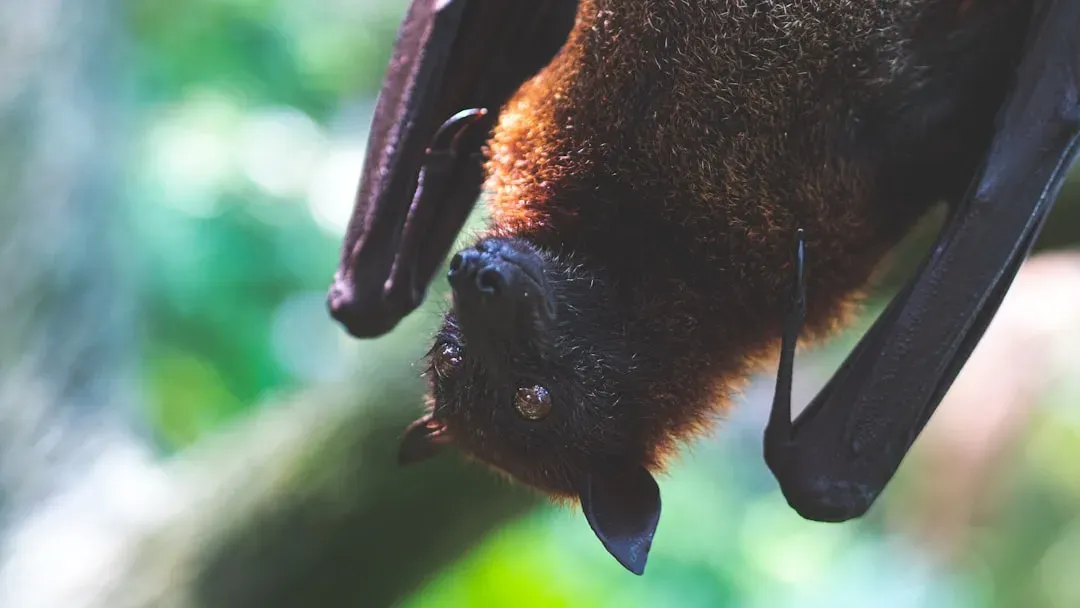 Living With the Unseen: What This Means for Us (Image Credits: Unsplash)