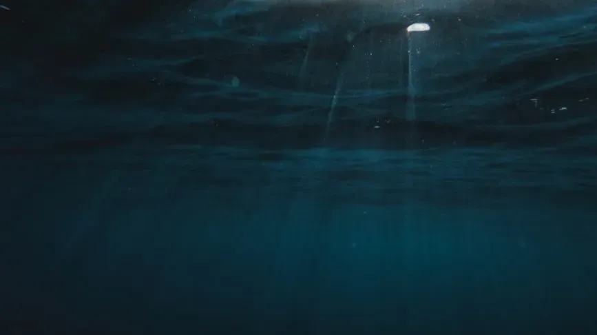 Rethinking Silence: What “Quiet” Really Means Underwater (Image Credits: Pexels)