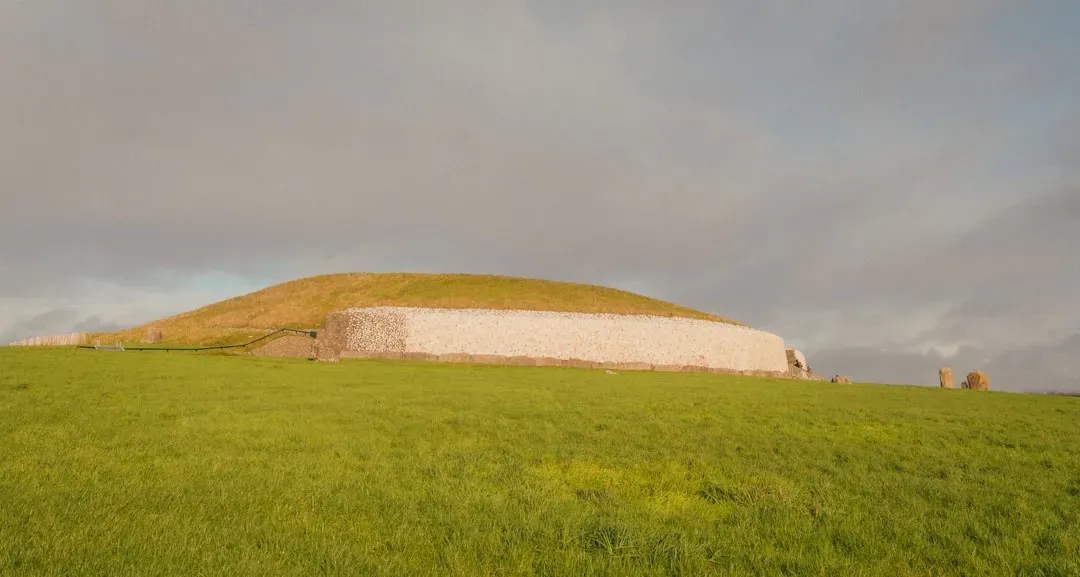 From Cones to Giants: The Many Types of Mounds (Image Credits: Unsplash)