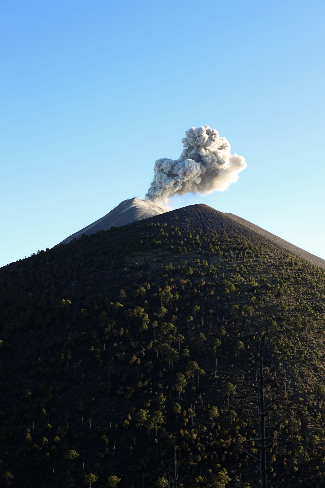 The Future Landscape (Image Credits: Unsplash)