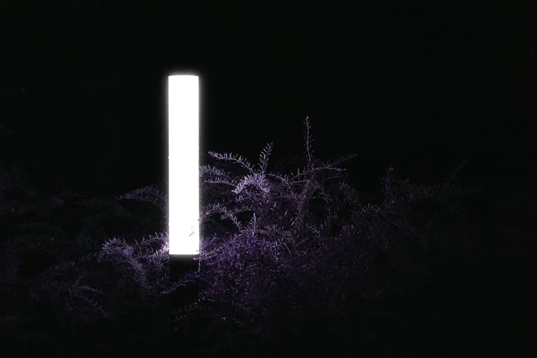 3. LED Lights: Colors Written by Quantum Rules (Image Credits: Unsplash)