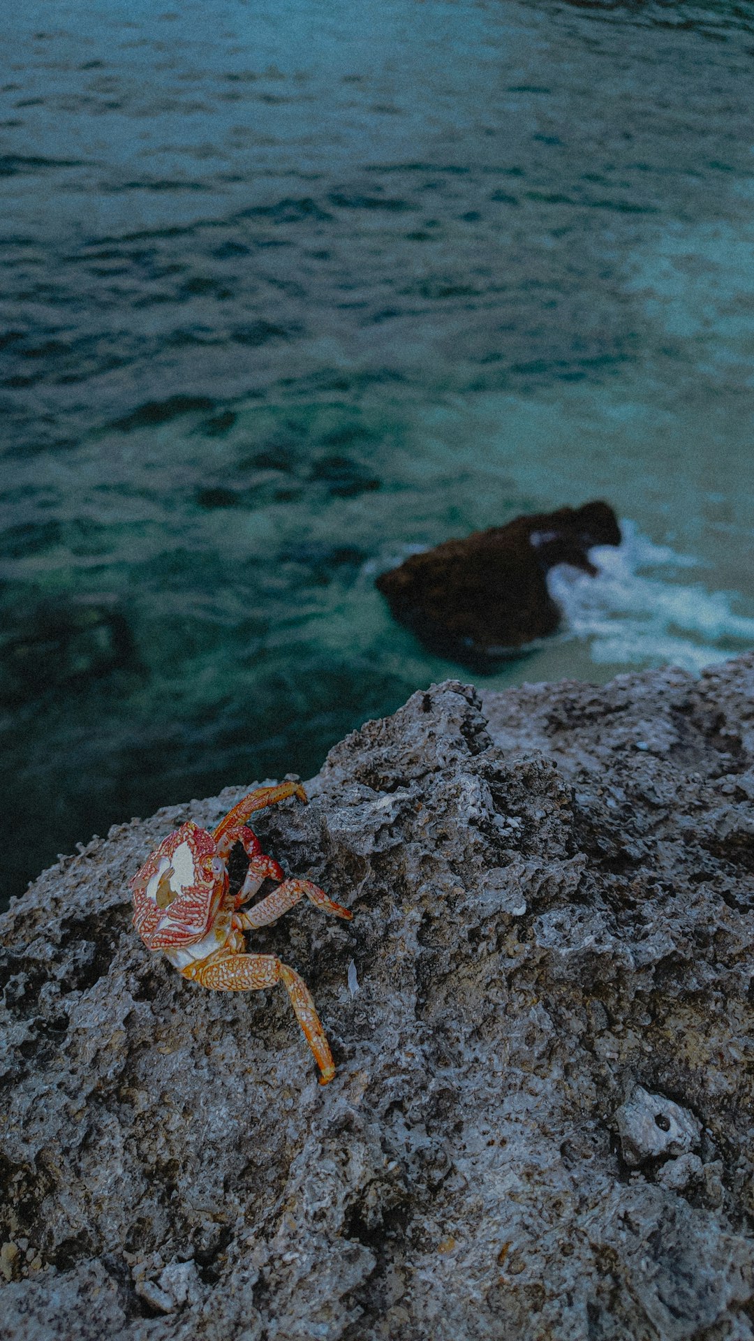 Why It Matters (Image Credits: Unsplash)