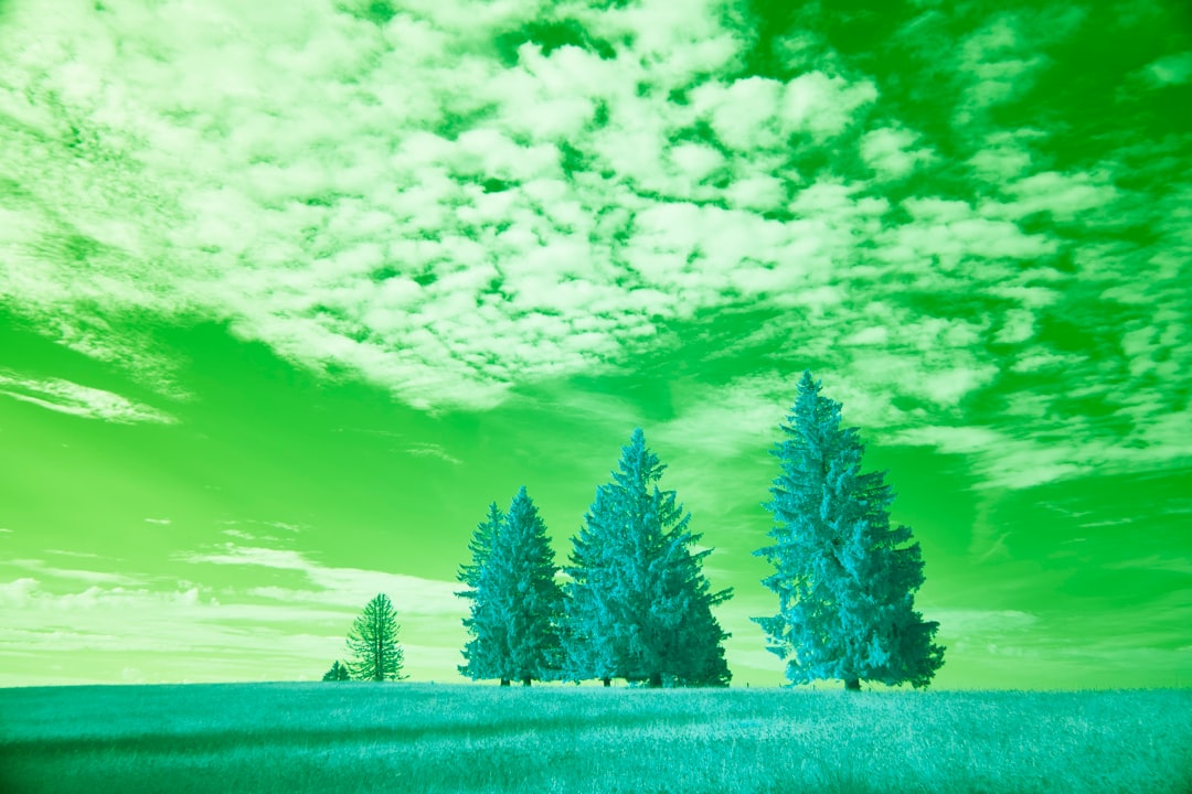 High-Precipitation Supercells: Rain-Wrapped Monsters (Image Credits: Unsplash)