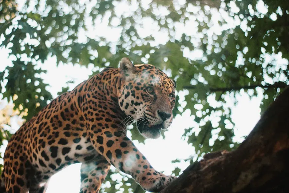 5. Their climbing and hauling power is quietly outrageous (Image Credits: Pexels)