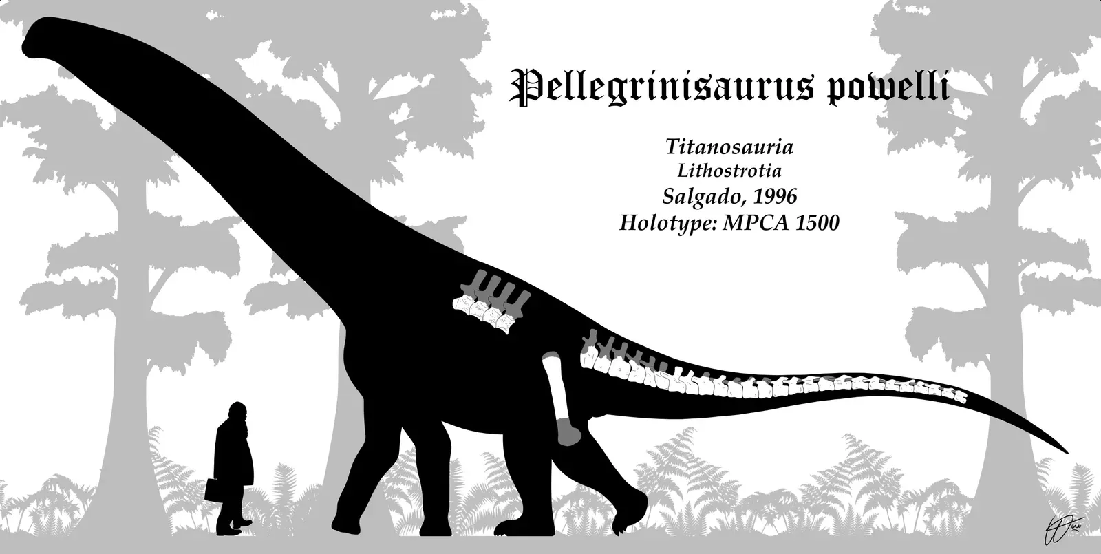 How Patagonian Discoveries Are Changing Your View of Dinosaur Evolution (By PaleoNeolitic, CC BY-SA 4.0)