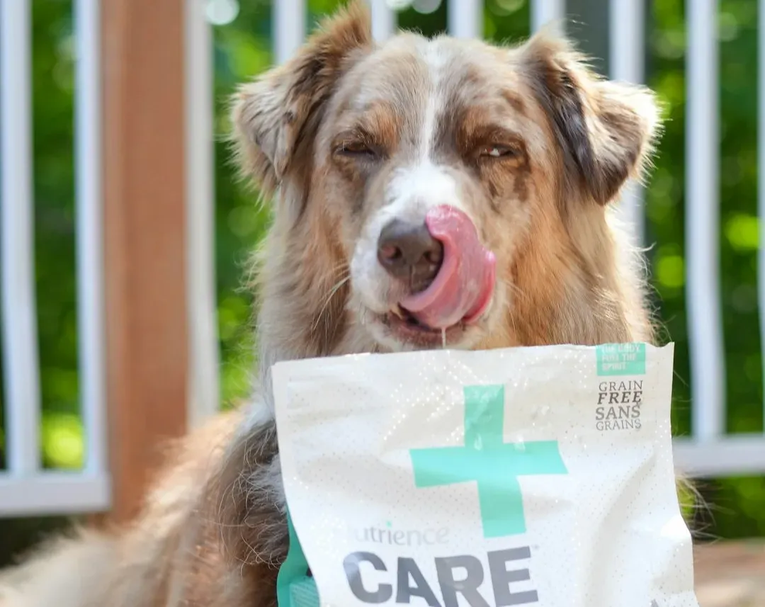 4. Keeping Their Teeth Clean Before Pain Starts (Image Credits: Unsplash)