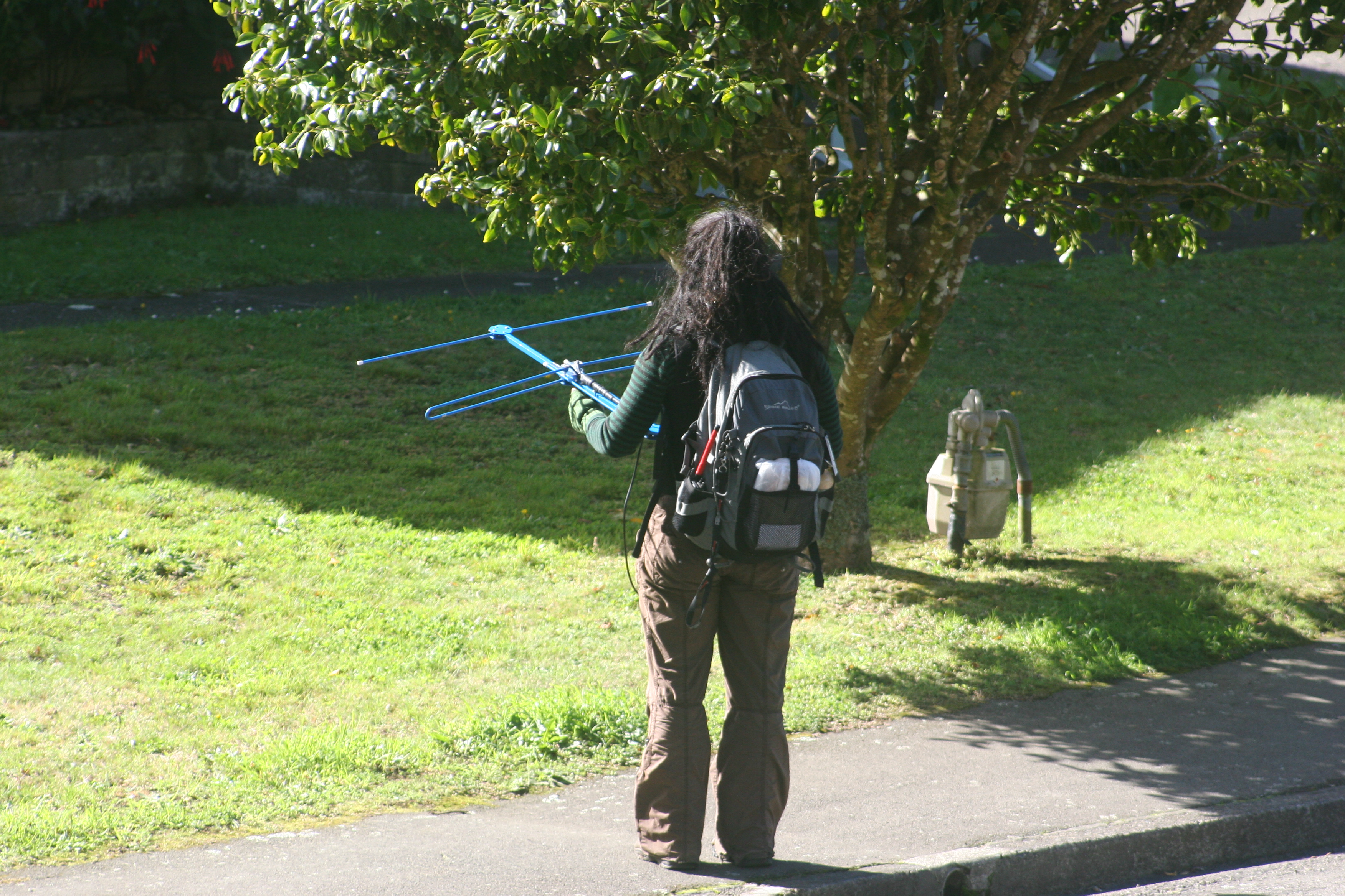 The Future Landscape (Image Credits: Wikimedia)