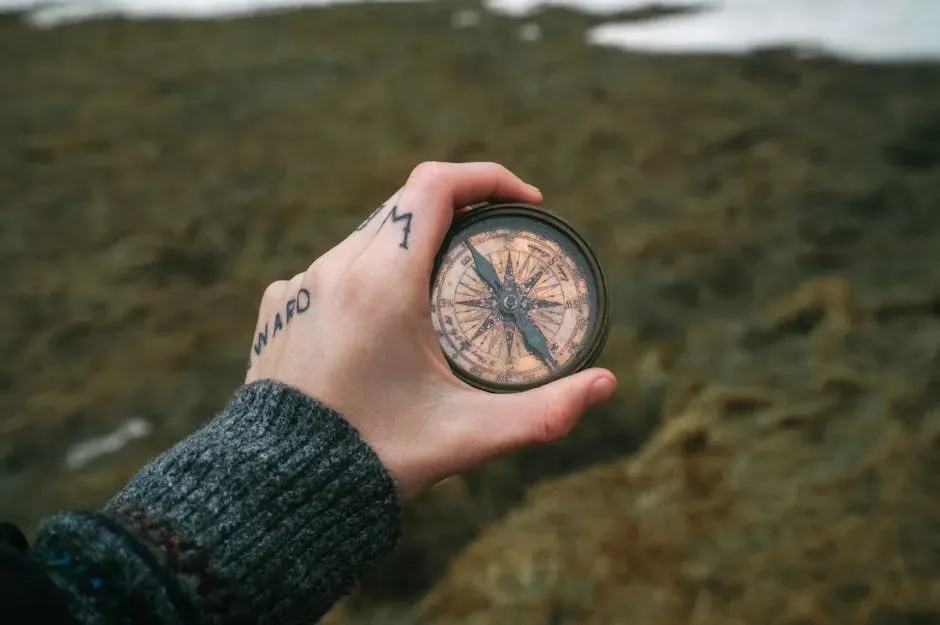 Navigation, From Your Pocket Compass to Migrating Animals (Image Credits: Pexels)