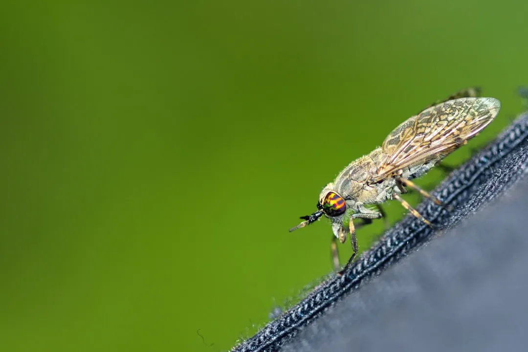 7. Insects and Spiders Using Vibrations as Hidden Messages (Image Credits: Unsplash)