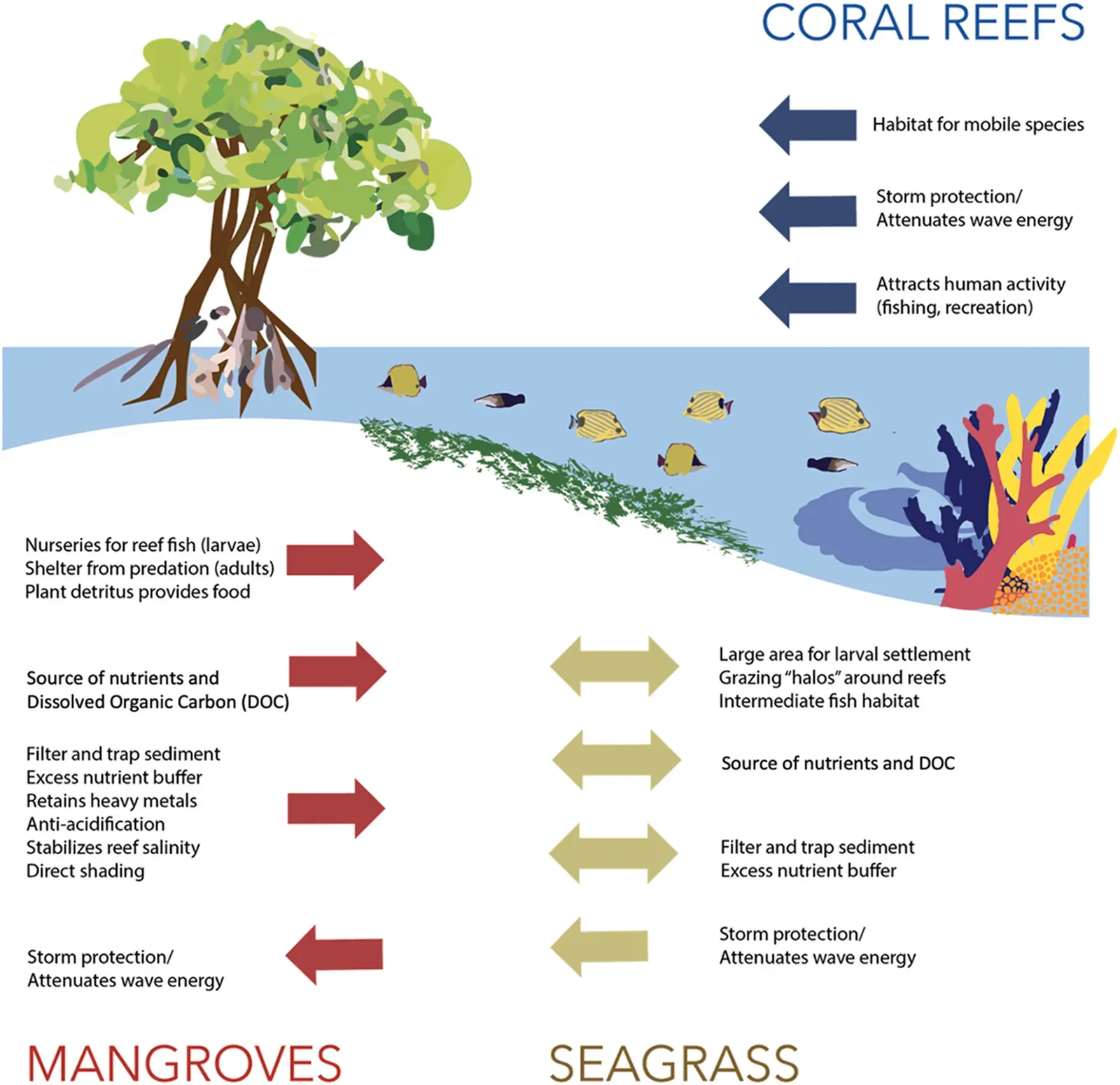 Under Pressure: Climate Change, Pollution, and Shifting Baselines (Image Credits: Wikimedia)