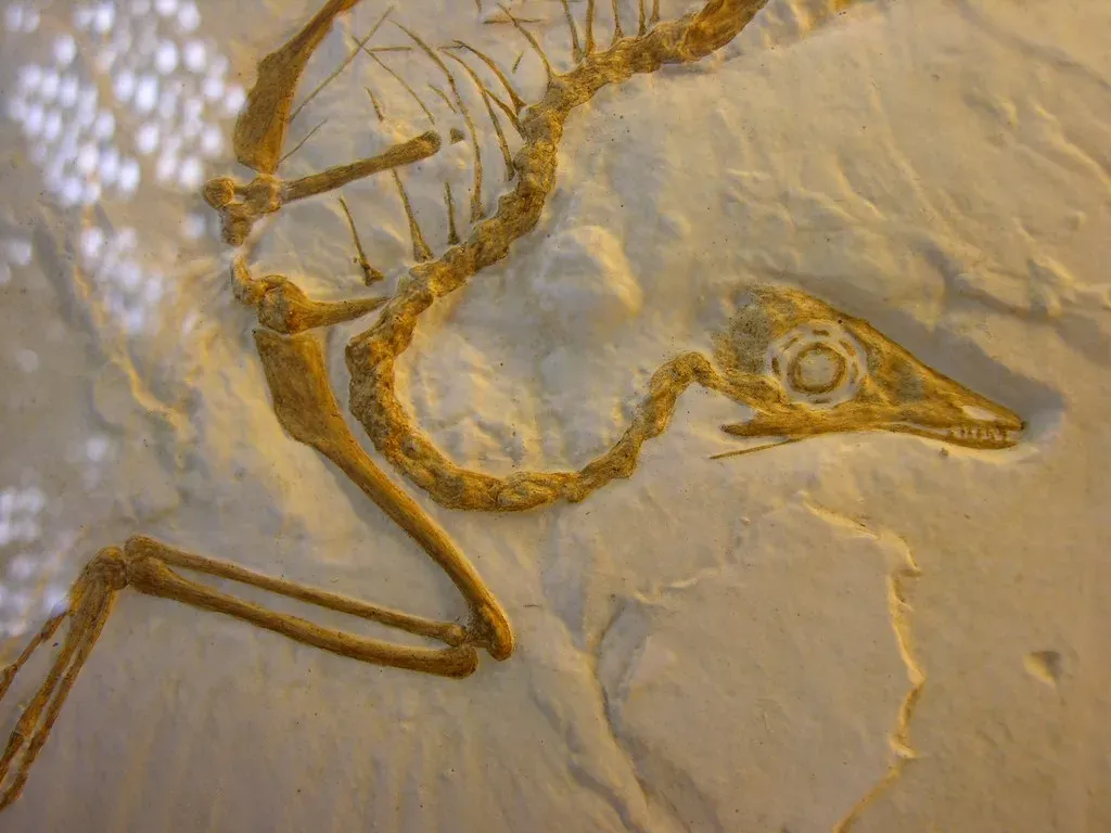 The Small, Strange Fossils that Pointed Straight to Birds (Giles Watson's poetry and prose, Flickr, CC BY-SA 2.0)