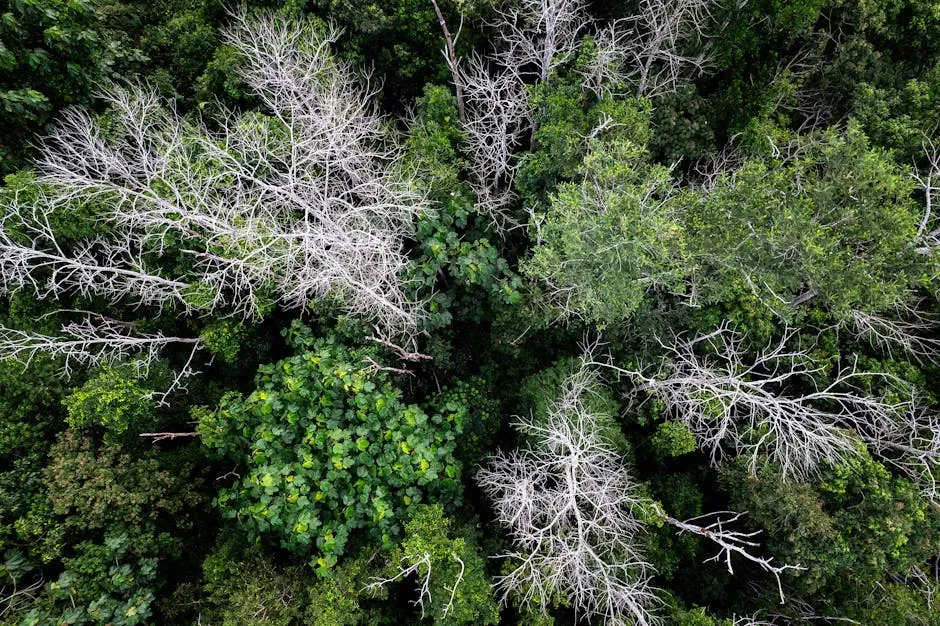 Do Trees Really “Talk”? Being Honest About the Science (Image Credits: Pexels)