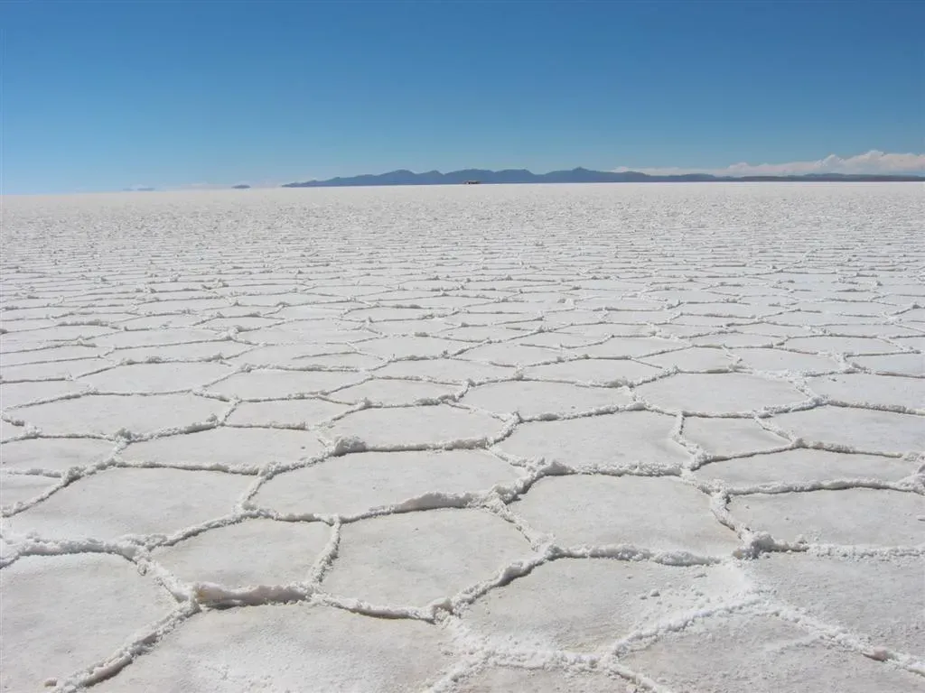 Salt Polygons and the Hidden Geometry Underfoot (Image Credits: Wikimedia)