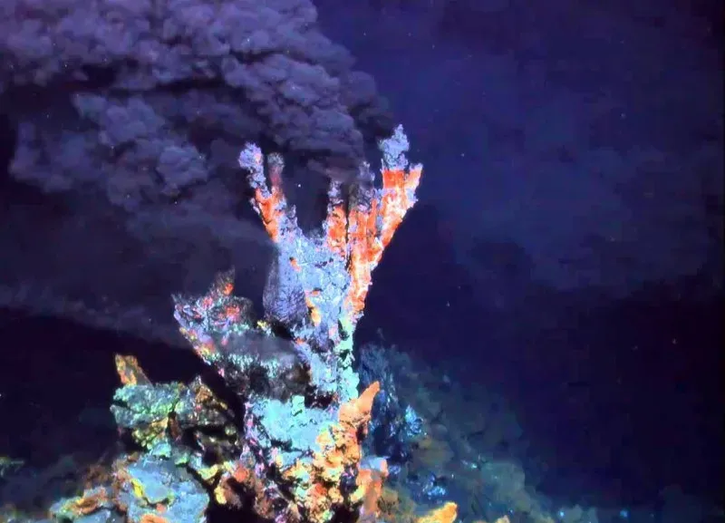 Life Thriving On What Would Kill Most Organisms (Image Credits: Flickr)