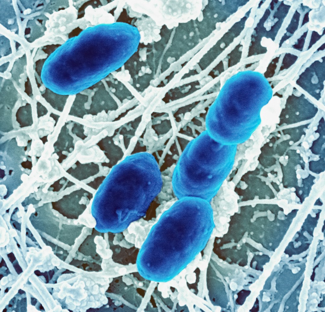 Chemosynthetic Pioneers Creating Life from Darkness (Image Credits: Unsplash)