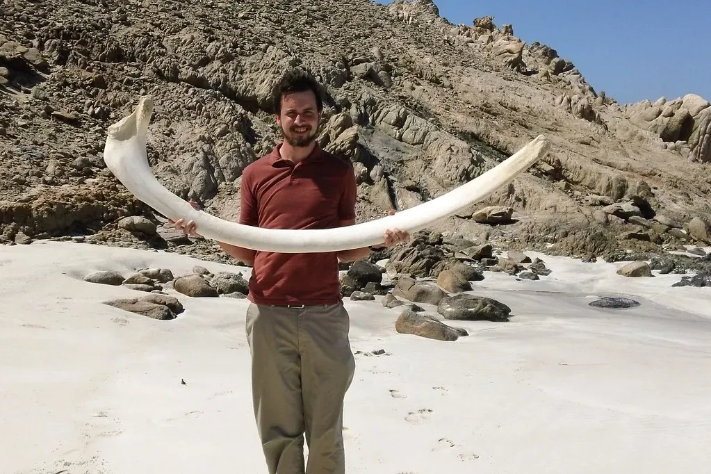 #11 - A Whale Bone Buried in a Phosphate Mine's Waste (Gerry & Bonni, Flickr, CC BY 2.0)