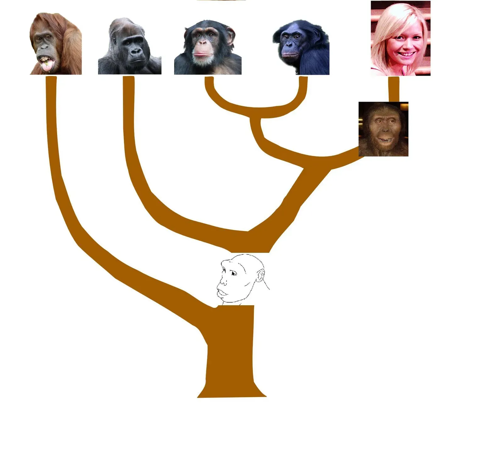 Ancient DNA Is Rewriting the African Origin Story (Wiki free pictures, CC BY-SA 3.0)