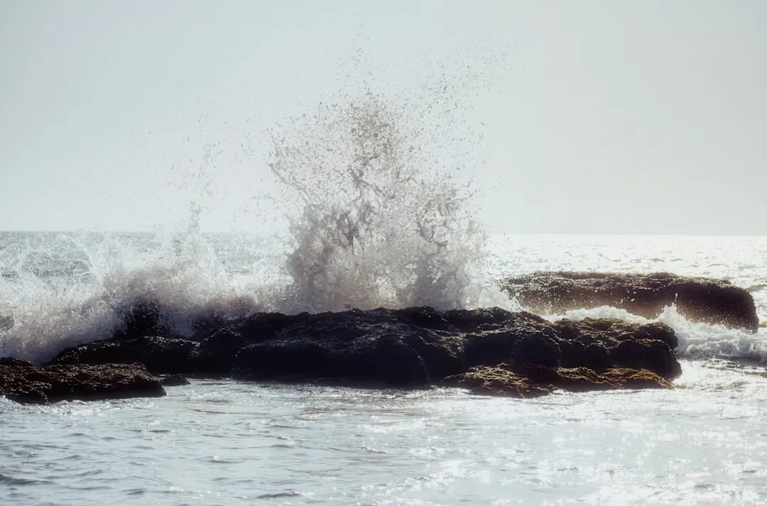 A Population Mystery Finally Solved? (Image Credits: Unsplash)