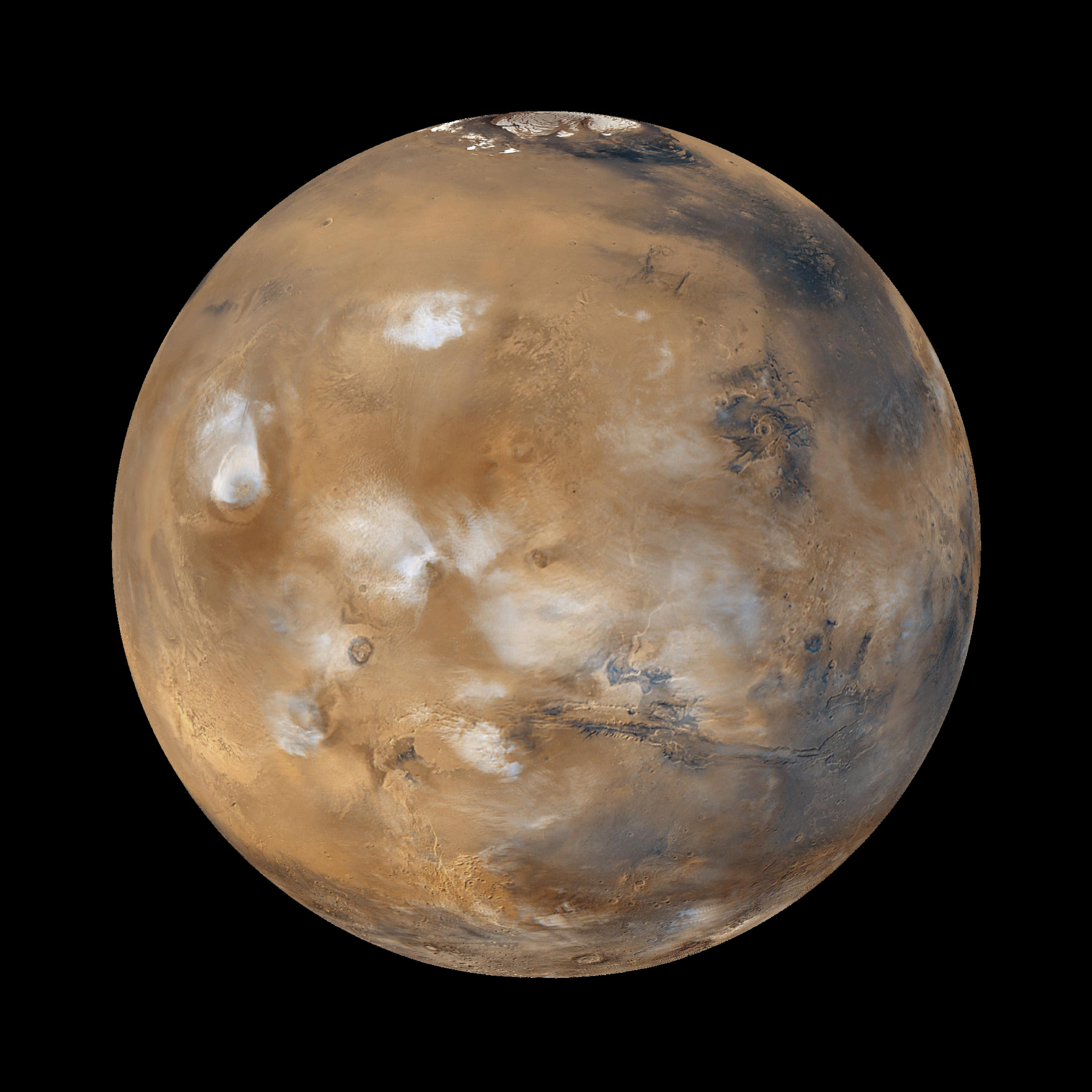 Implications for Ancient Martian Life (Image Credits: Wikimedia)