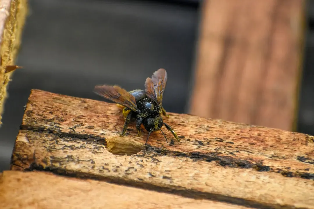 The Future Landscape: Climate Change, Urban Gardens, and Shifting Habitats (Image Credits: Unsplash)