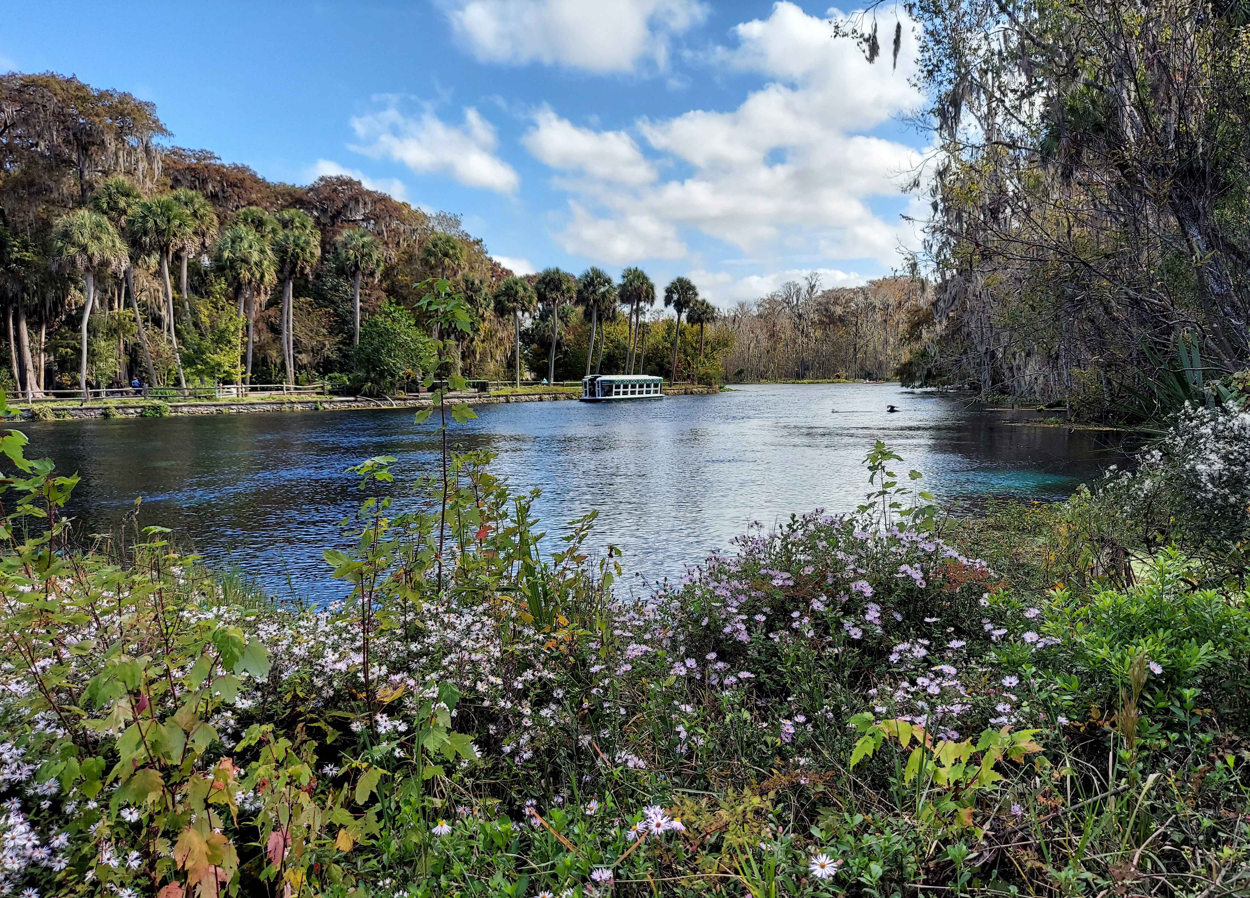 Silver Springs State Park (Image Credits: Wikimedia)