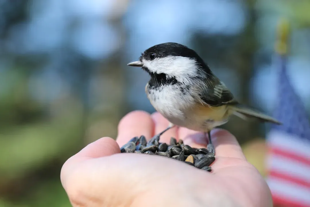 6. They Remember Which Humans and Feeders Are Safe (Image Credits: Unsplash)