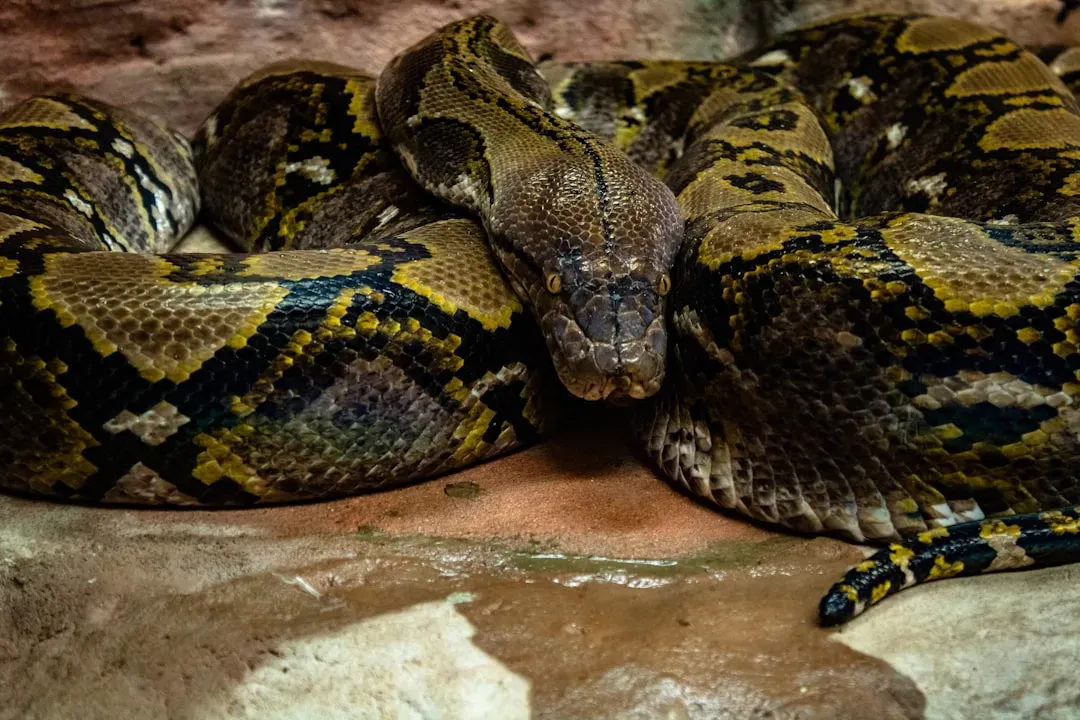 12. Invasive and Nuisance Species: Hidden Ecological Dangers (Image Credits: Unsplash)