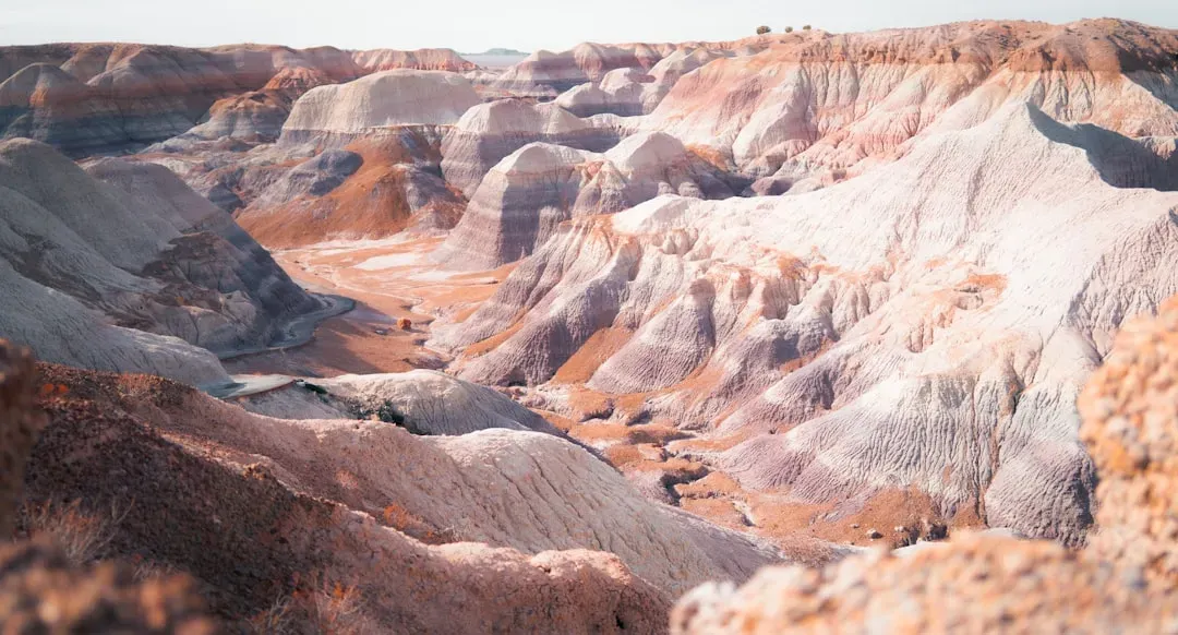 How You Can Still Read Dinosaur Landscapes in the Rocks Today (Image Credits: Unsplash)