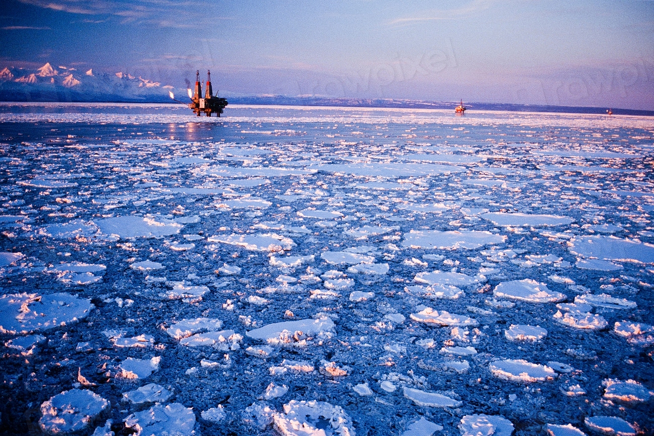 Global Perspectives (Image Credits: Rawpixel)