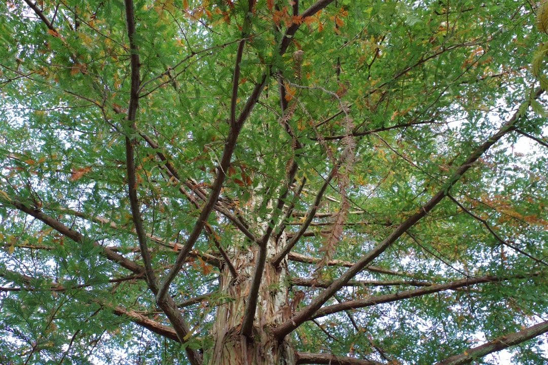 How You Can Help (Image Credits: Unsplash)