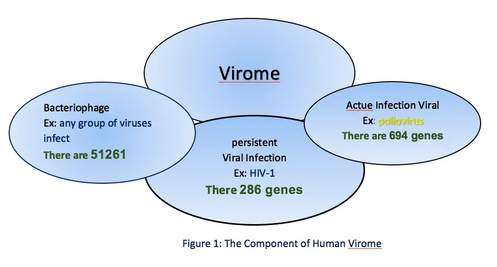 The Hidden Clues: Your Body Is Mostly Not You (Image Credits: Wikimedia)