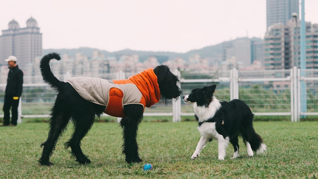 How to Get Involved (Image Credits: Unsplash)