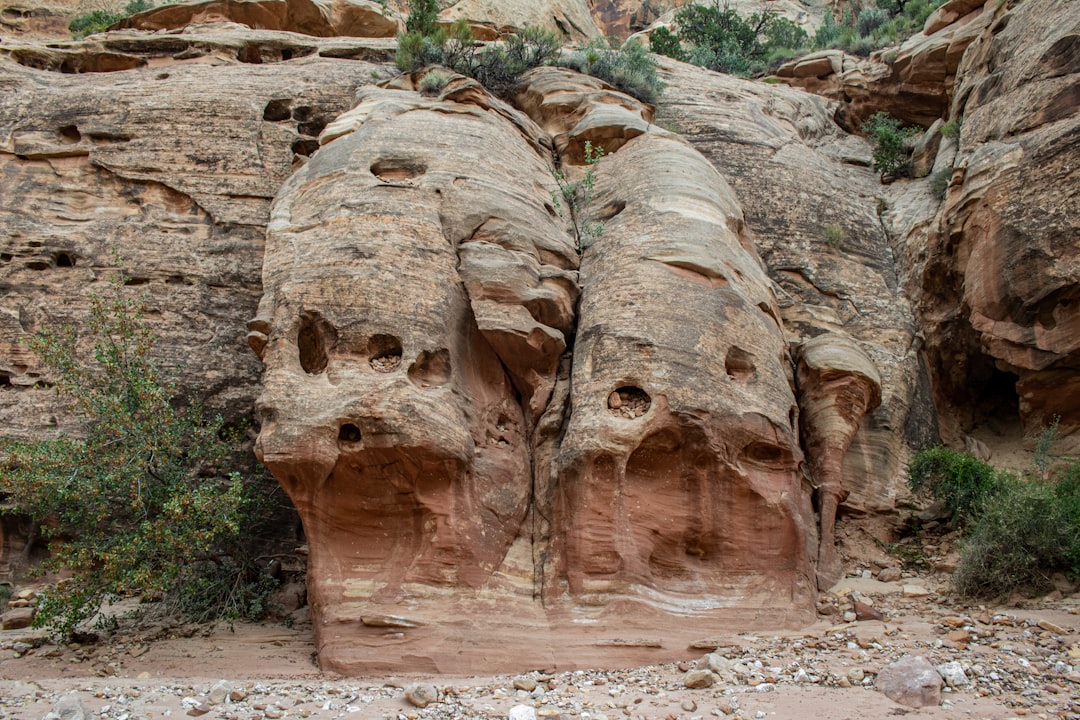 The Hidden Clues (Image Credits: Unsplash)