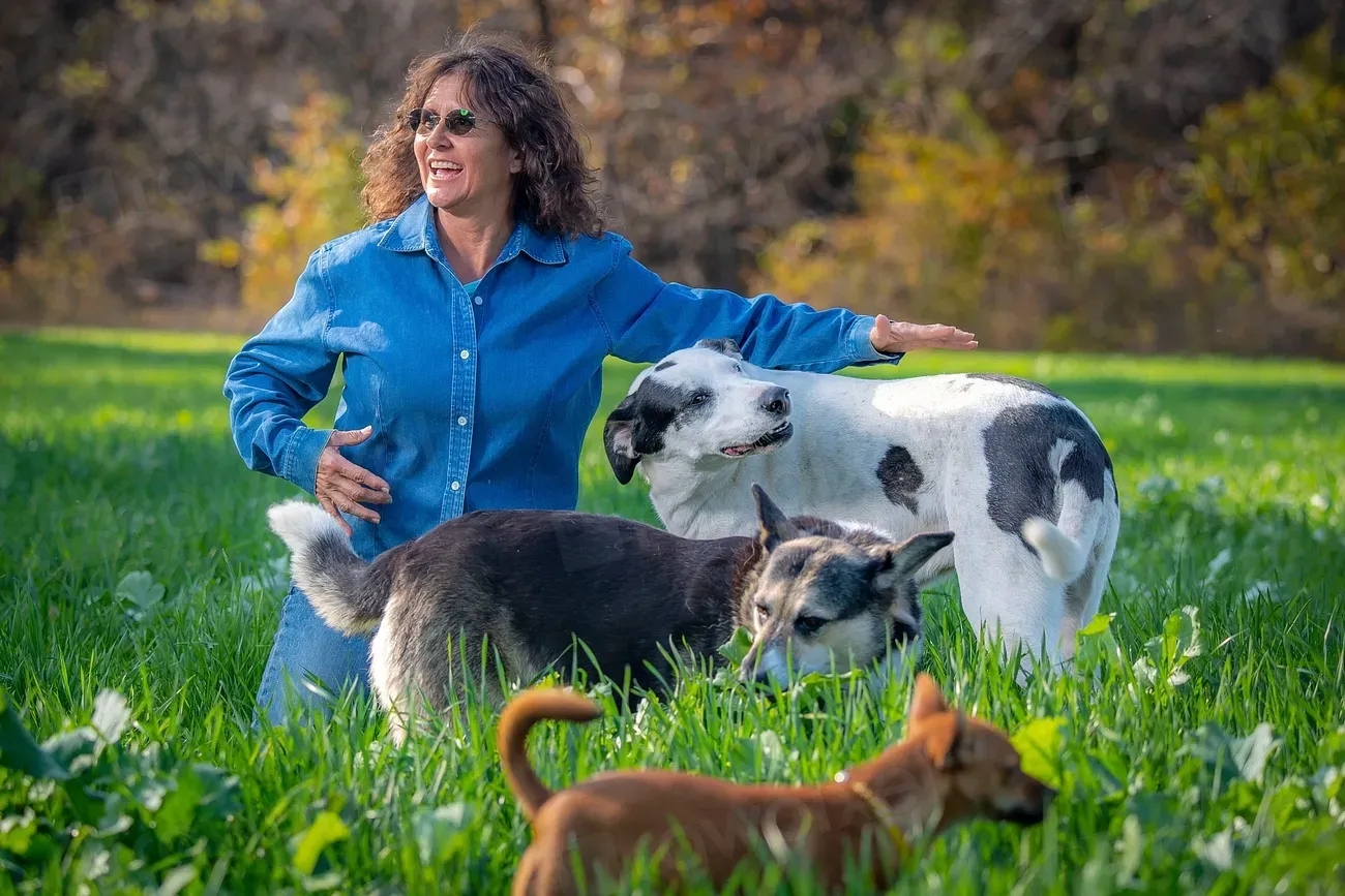 Modern Life Has Blunted the Risk but Not the Instinct (Image Credits: Rawpixel)