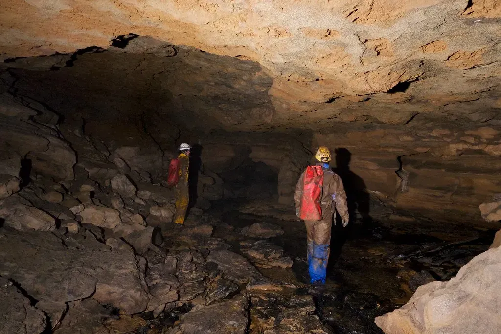 The Five-Million-Year Question: How Old Is a Cave Lineage Really? (David A. Riggs, Flickr, CC BY-SA 2.0)