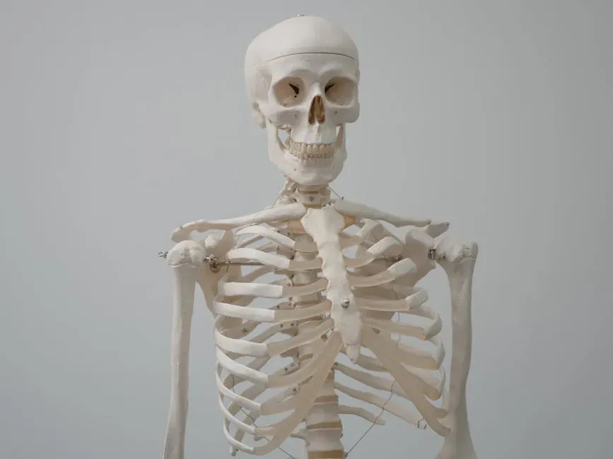 Your Skeleton Is Changing in Ways You Would Never Expect (Image Credits: Pexels)