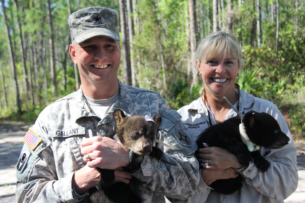 Florida's Wildlife Corridor Legislative Victory (Image Credits: Flickr)