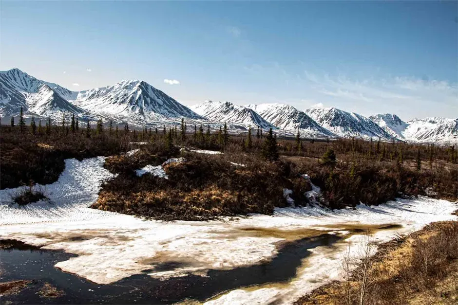 Conclusion: A Wilderness Worth Protecting (Image Credits: Pexels)