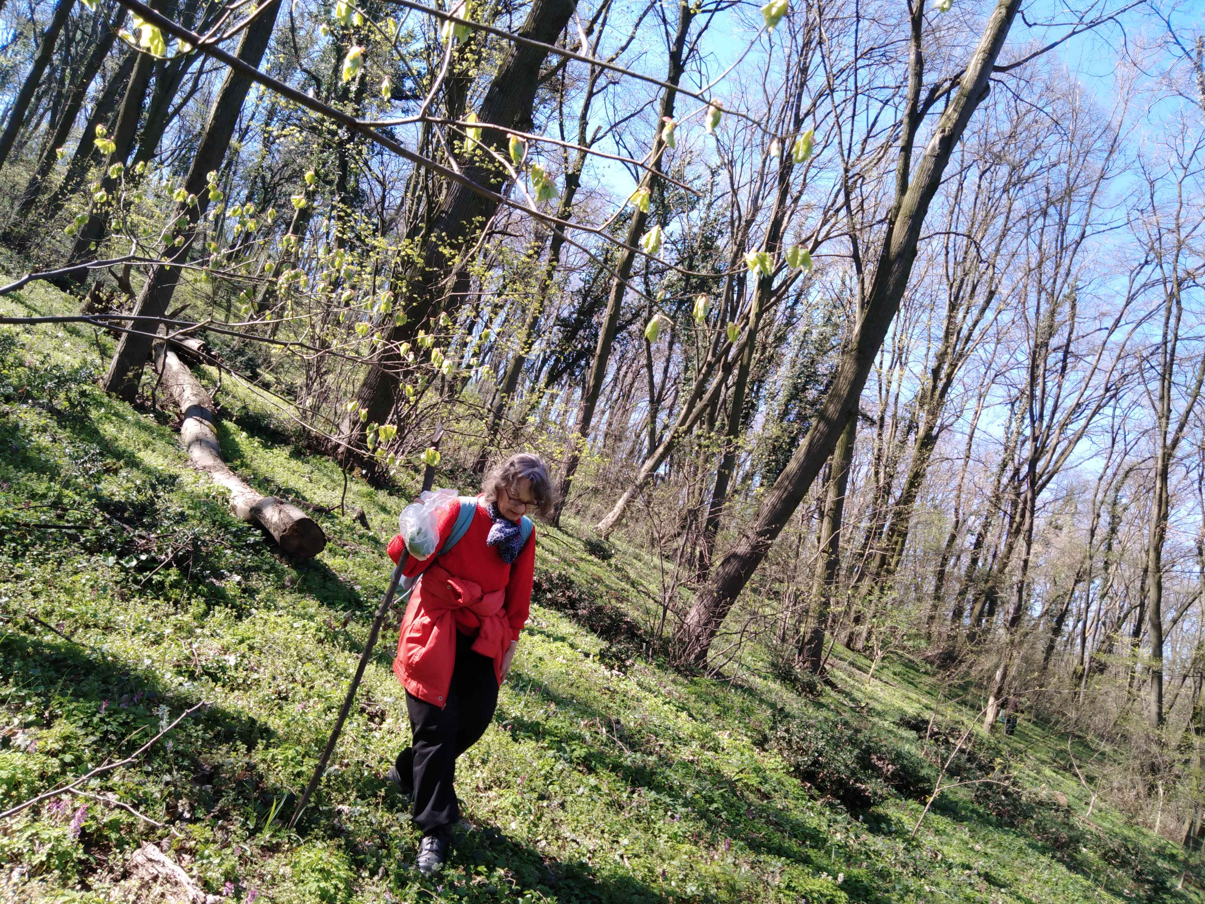 A 67-Year-Old Grandmother Revolutionized Trail Hiking With Canvas Sneakers (Image Credits: Wikimedia)