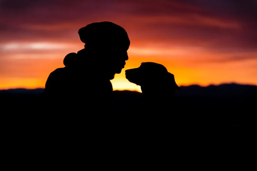 Cross-Species Friendship Has Deep Evolutionary Roots (Image Credits: Unsplash)